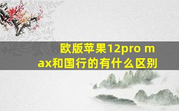 欧版苹果12pro max和国行的有什么区别